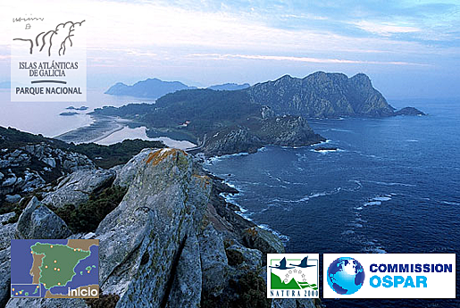 Se incluyó en el Parque Nacional de las Islas Atlánticas de Galicia.