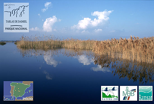 Tablas de Daimiel se reclasifica el Parque Nacional.