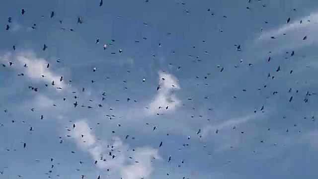 Nacimiento de D. Ignacio  Díaz González