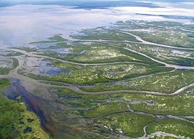 Saskatchewan River Fur Trade