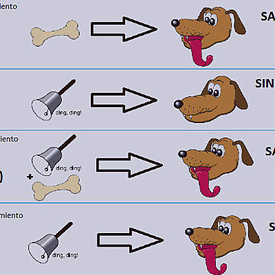 Timeline: Conductismo
