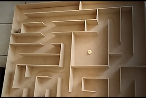 Tolman: instala el laboratorio de ratas de la Universidad de California.