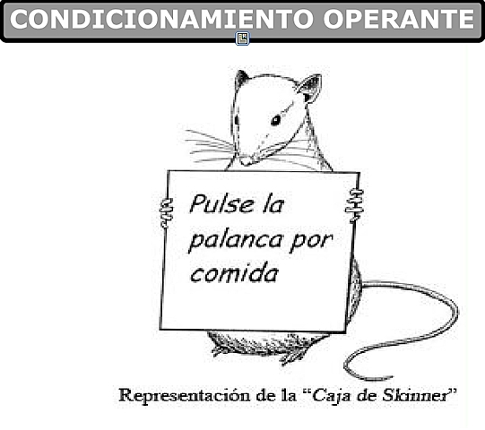 Skinner: conceptualiza el "condicionamiento operante" como una forma de selección de conductas en base a sus consecuencias.