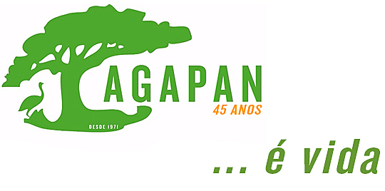 Visibilidade do Ambientalismo no Brasil