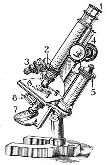 Descoberta Microscópio