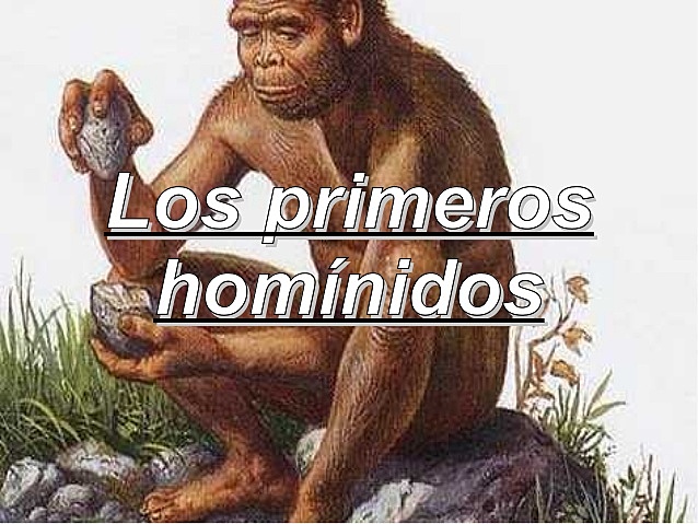 Hominidos