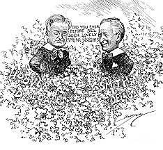 Election of 1928 (1920's Politics)