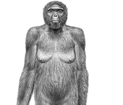 la exposicion del hominido mas antiguo