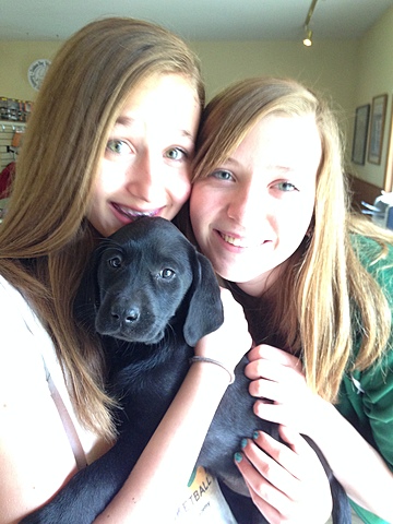 Got Nellie - a one in a million dog