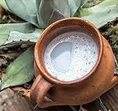 Platillos destacados