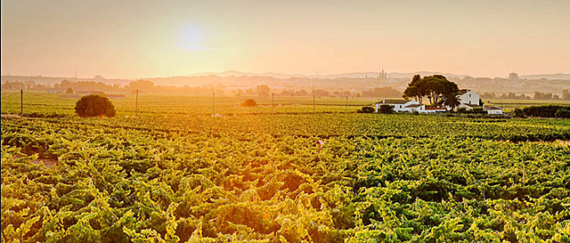 El Papa Calixt II confirma les propietats del monestir de Sant Cugat.