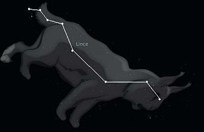 LA CONSTELACIÓN DEL LINCE