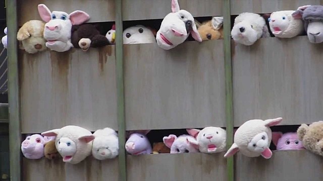 Televisie en Computer