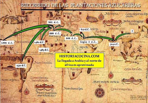 Cultivo de la caña de Azúcar