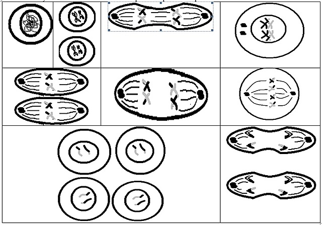 Buenaventura, Rio dagua