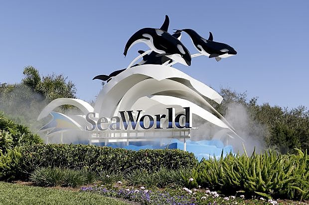 I went to Seaworld for the first time!