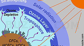 Timeline: Ozone Layer