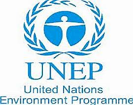 UNEP Committee