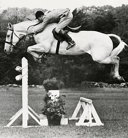 Snowman and Harry went to Madison Square Garden won the United States open jumper in 1958