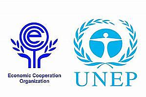 UNEP Gets involved