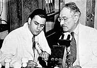 Scientists Discover CFCs Split Up Ozone in...