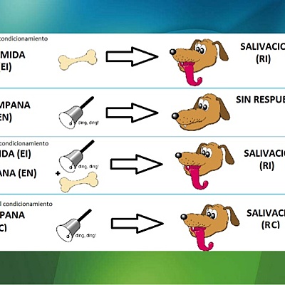 Timeline: TEORÍA CONDUCTISTA