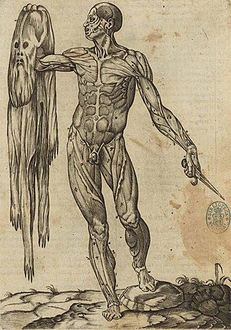 COMPOSICIÓN DEL CUERPO HUMANO