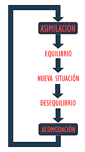 Teoría de la acomodación.