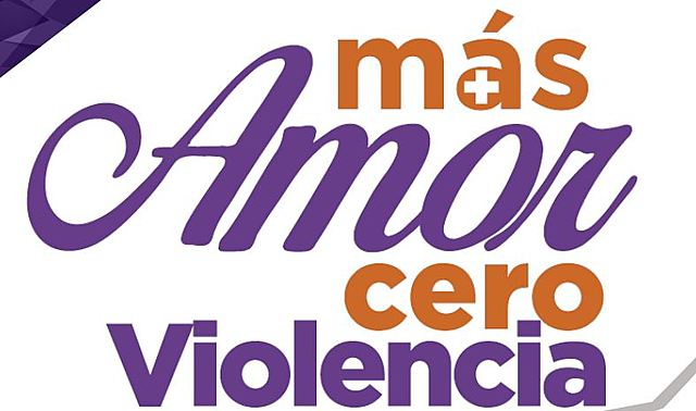 Ley 1361 de 2009; El derecho de las familias a una vida libre de violencia