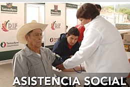 Ley 1361 de 2009; Derecho a recibir protección y asistencia social cuando sus derechos sean vulnerados o amenazados