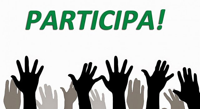 Ley 1361 de 2009; Derecho a la participación y representación de sus miembros