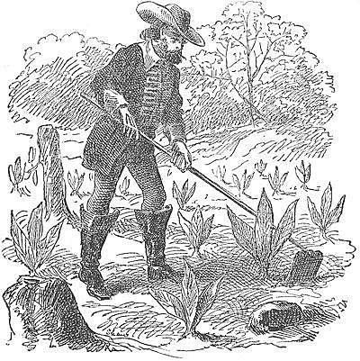 John Rolfe planted first tobacco crops