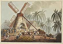 British colonist began cultivating sugar in Caribbean