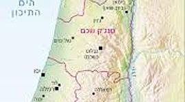 Timeline: ציר זמן לאומי