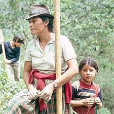 Ley Mujer Cabeza de Familia