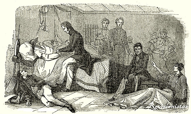 Las causas de la epidemia