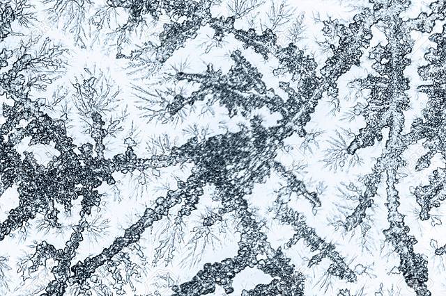 Agentes microscópicos