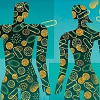 Monocausalidad de enfermedades