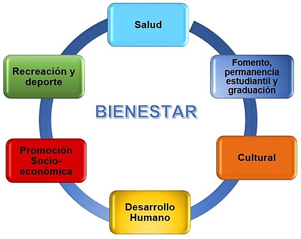Última teoría de la salud
