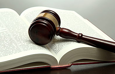 Familia: Silvia Martinez