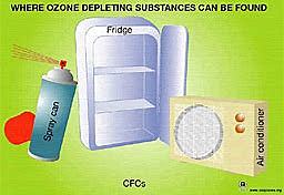 The Consumption Of CFCs Increase