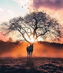 Arte del siglo XX. Surrealismo