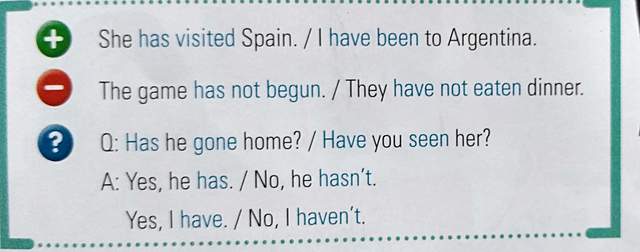 PRESENT PERFECT SIMPLE (NEGATIVE)