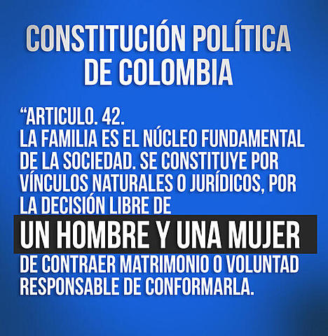 Articulo 42 de la Constitución Política de Colombia