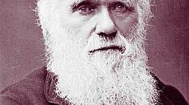 Timeline: Charles Darwin (1809-1882)