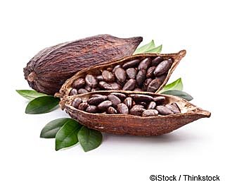 El cacao
