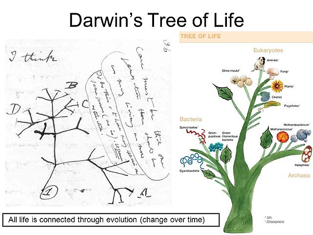 On the Origin of Species 1859