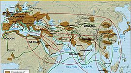 Timeline: indian trade route classical era