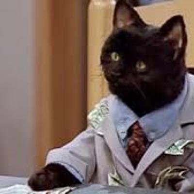 Timeline: Evolución de la calidad