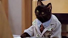 Timeline: Evolución de la calidad